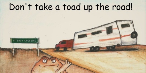 Dont take a toad up the road