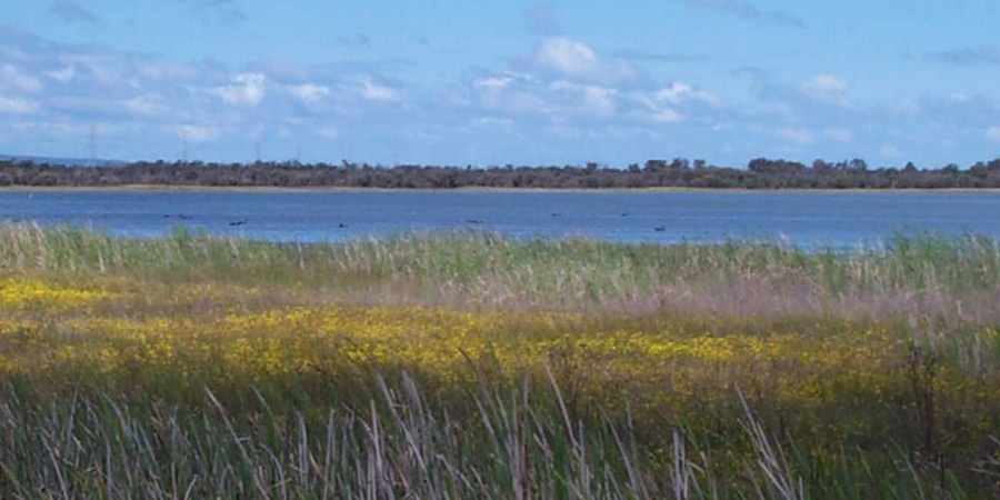 Forestdale lake Nature Reserve