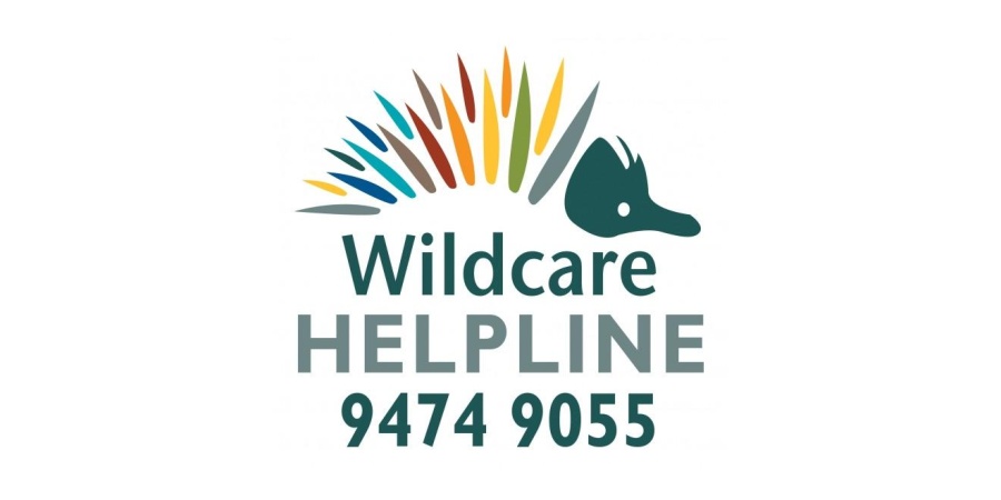 Wildcare HELPLINE logo