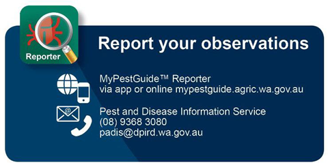 Contact details for reporting plant disease observations
