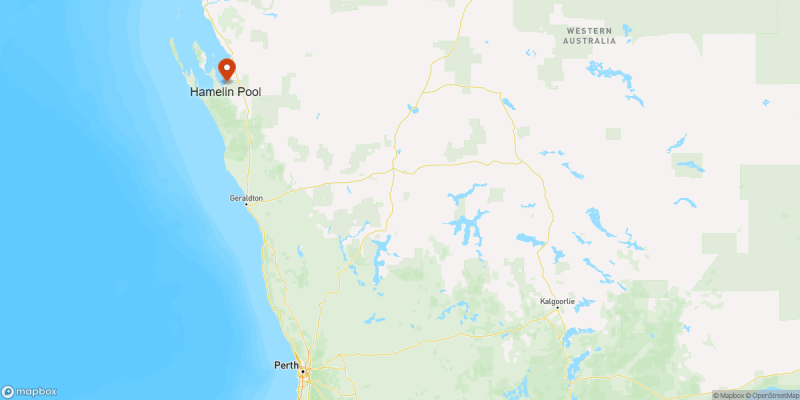 Location map of Hamelin Pool Western Australia