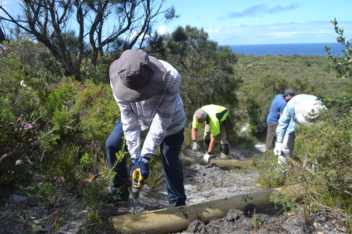 Bibb Track Volunteers repair water bars near William Bay