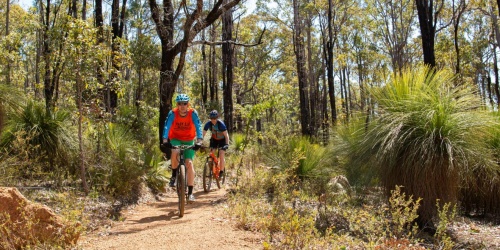 Arklow Mountain Bike Trail