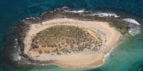 Carey Island Nature Reserve