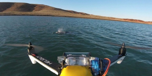 Drone collecting blow samples