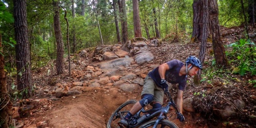 Mountain Biking in the South West trails