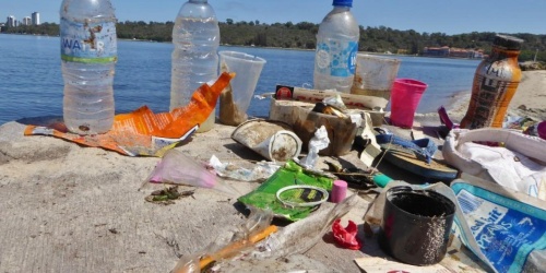 Rubbish beside the Swan River. Photo: DBCA