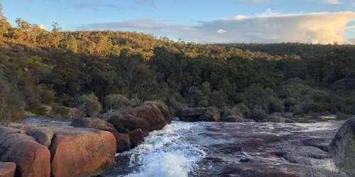 Veiw of John Forrest National Park