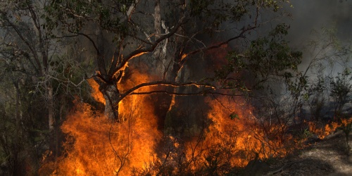 Bushfire in the Stirling Range. Photo Sally Treasure, DBCA