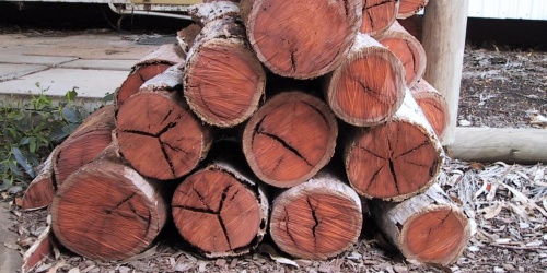Firewood rounds in a stack