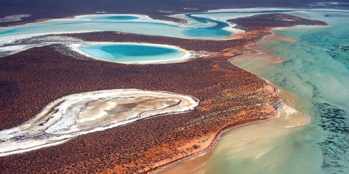 Aerial view of Shark Bay Photo by DBCA