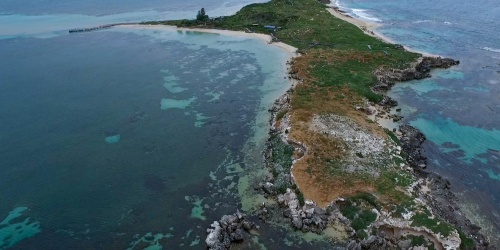 An aerial image of Penguin Island