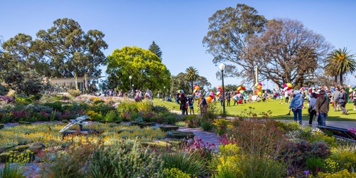 Kings Park Festival. Photo by J. Thomas.