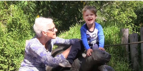 Child riding Galapagos tortoise statue at Perth Zoo