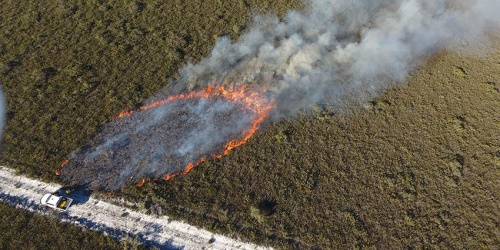 Prescribed burn in Cape Arid National Park. Photo by DBCA