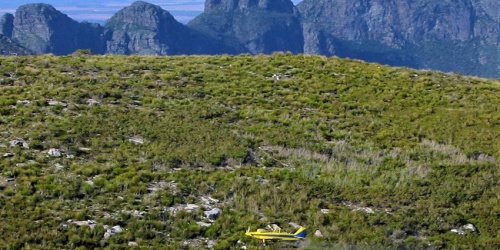 View of plane flying over Bluff Knoll spraying phosphite