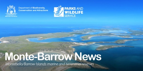 Monte-Barrow News