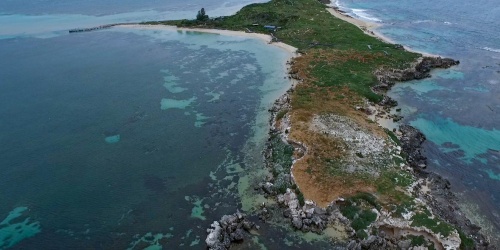 Penguin Island Discovery Centre will close at the end of visitor season