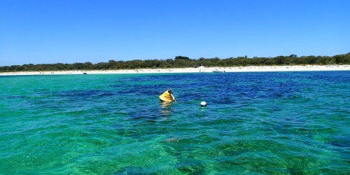 A yellow mooring buoy in the water at Ngari Capes Marine Parks.  Photo/DBCA