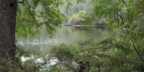 Shannon National Park - Photo Bron Anderson