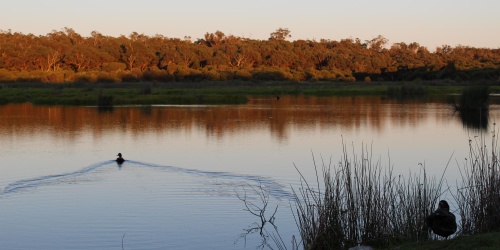 Yanchep National Park - Photo Gootizen Van Der Meer