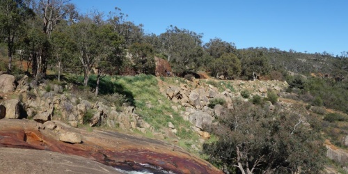 John Forrest National Park - Photo Kevin Smith