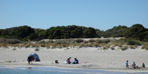 John Graham Reserve - Photo Kevin Smith