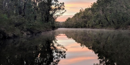 Lane Poole Reserve - Photo Bronwyn Wells