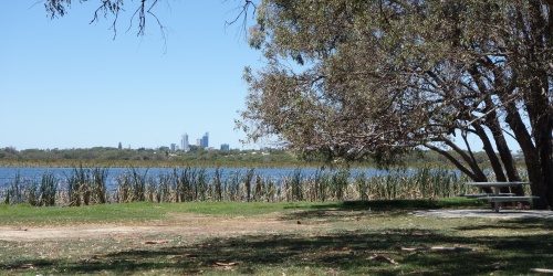 Herdsman Lake Regional Park - Photo Kevin Smith