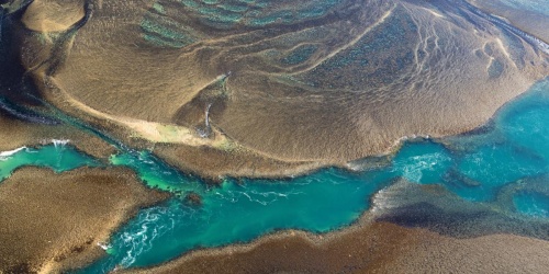 Montgomery Reef - Photo Lauren Bath