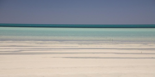 Shark Bay Marine Park - Photo Tourism WA