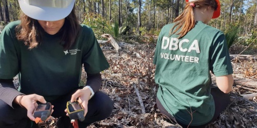 Parks and Wildlife Service volunteers. Photo by Kartina Ruthrof