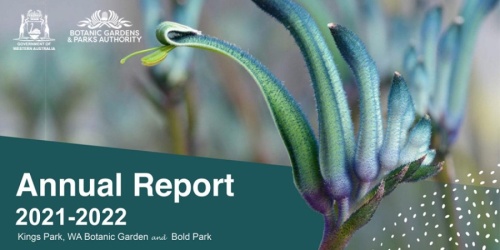 Annual report cover