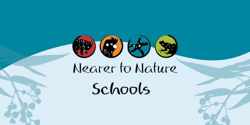 Nearer to Nature Schools graphic