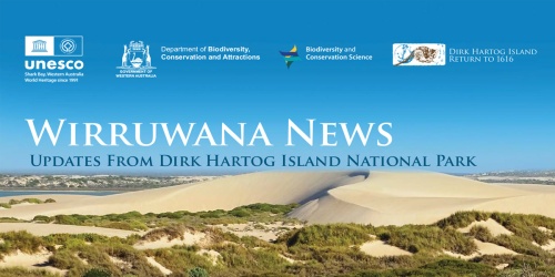 Wirruwana news
