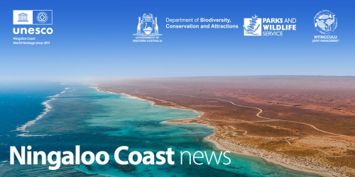 Ningaloo Coast News