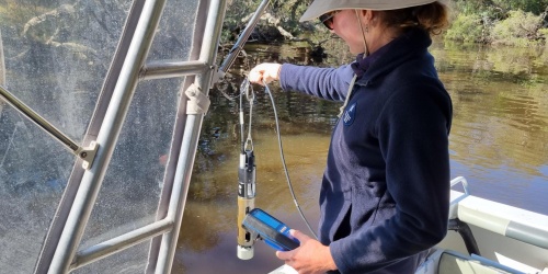 Water quality monitoring in the Canning River. Photo by A. Gillies, DBCA