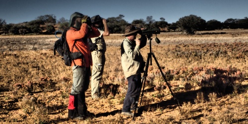 Three researchers looking through binoculars and telescopes standing in a bare landscape