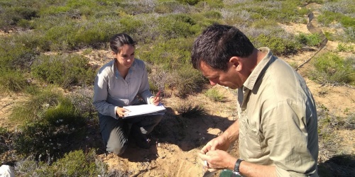 Researchers in the field collecting data from fauna trapping