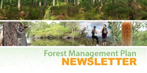Forest Management Plan newsletter