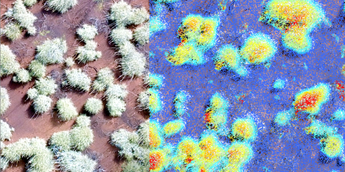 False colour images showing how the same landscape is imaged by different sensors from a drone.