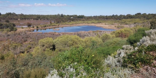 Ashfield Flats lookout