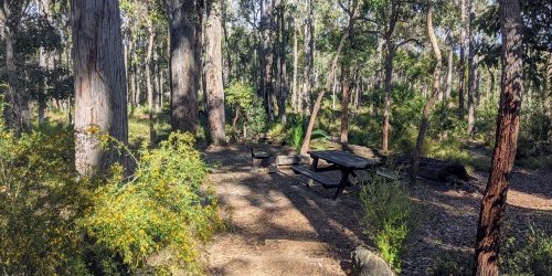Barrabup-campground-st-johns-brook-conservation-park-