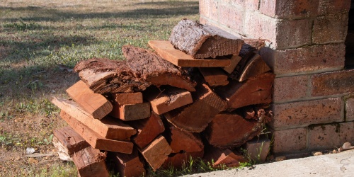 Collected firewood