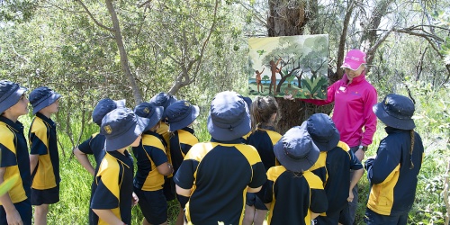School group at Kings Park and Botanic Garden