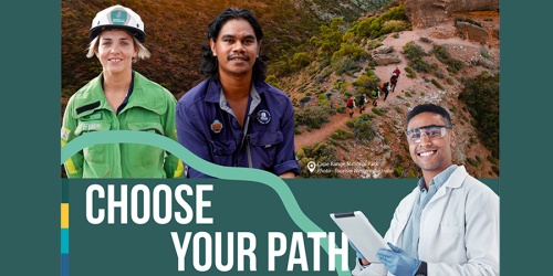 Choose your path