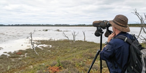 Adrian Pinder undertaking a bird survey in Lake Warden System Ramsar Site. Photo by Fiona Felton/DBCA 
