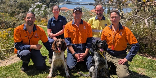 Dieback detector dogs and their handlers at Kings Park