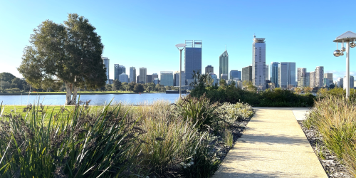 Photo looking towards Perth City over the river. Path and vegetation in foreground. River and the city skyline in the background.