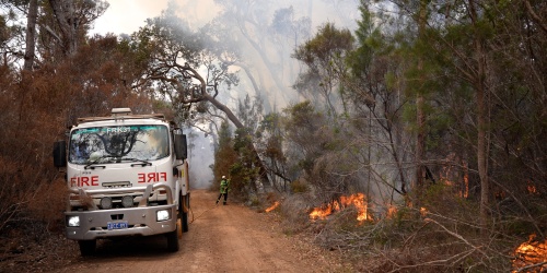 A prescribed burn underway